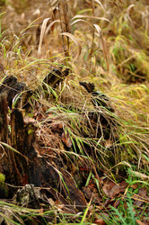 Similar image 21478801