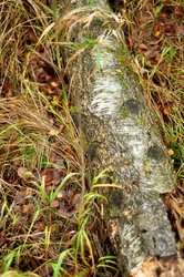 Similar image 21478802