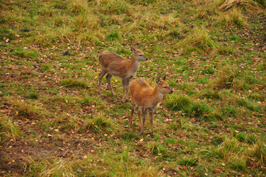 Similar image 21478803