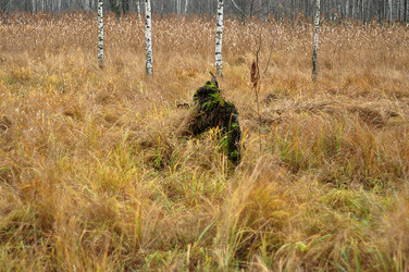 Similar image 21478804