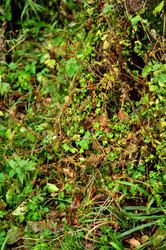 Similar image 21478926