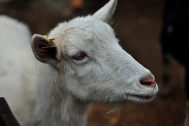 Similar image 21480733