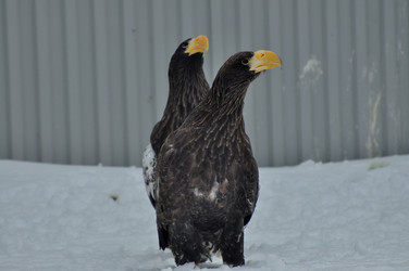 Similar image 21478822