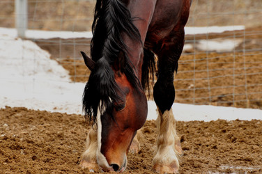 Similar image 21478823