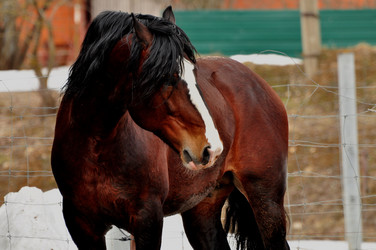 Similar image 21478824