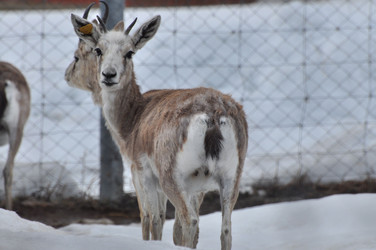 Similar image 21480736