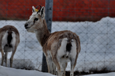 Similar image 21480737