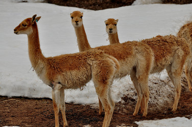 Similar image 21480738