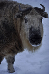 Similar image 21435887