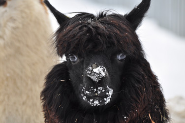 Similar image 21435888