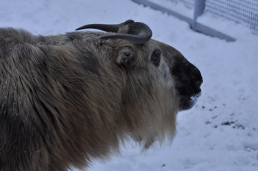 Similar image 21435889