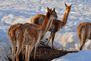 Similar image 21435925