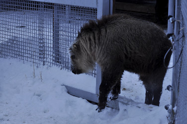 Similar image 21436463