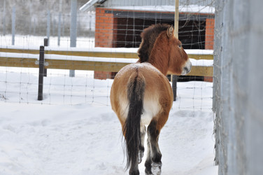 Similar image 21436464