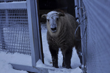 Similar image 21436465