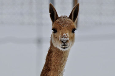 Similar image 21436466