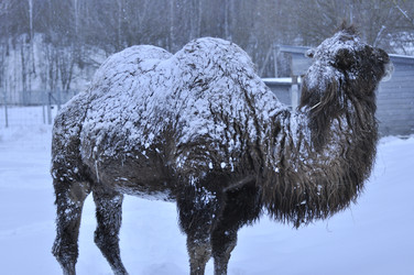 Similar image 21436467