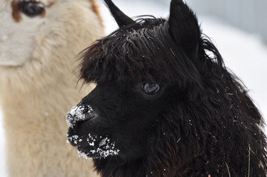 Similar image 21436468