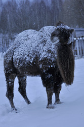 Similar image 21436469