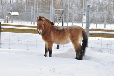 Similar image 21436671