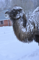 Similar image 21436672