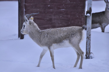 Similar image 21436674