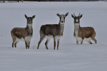 Similar image 21436675