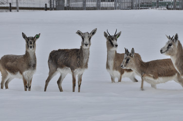 Similar image 21436676