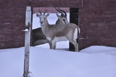 Similar image 21436677