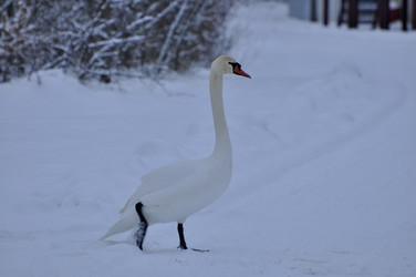 Similar image 21444728