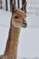 Similar image 21444729