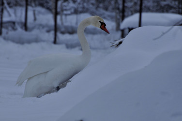 Similar image 21463056