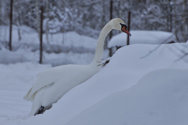 Similar image 21478825