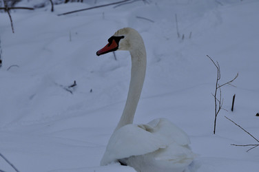 Similar image 21478826