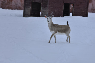 Similar image 21478830