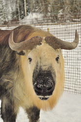 Similar image 21478831