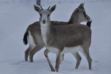 Similar image 21478832