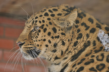 Similar image 21478835