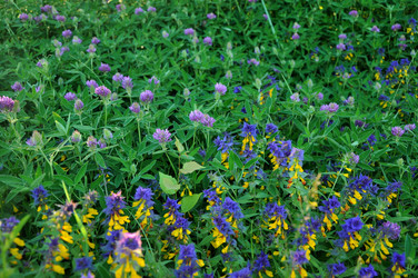 Similar image 21478836