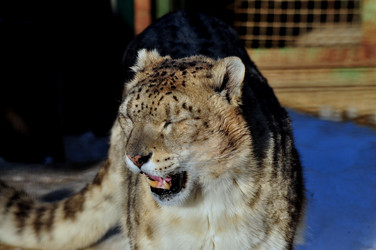 Similar image 21478837