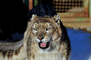 Similar image 21480739