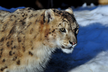 Similar image 21480740