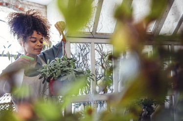 Similar image 21464356