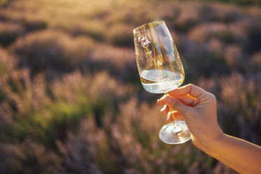 Similar image 21464417