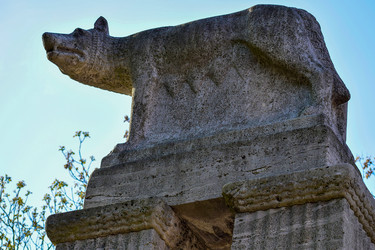 Similar image 21433789