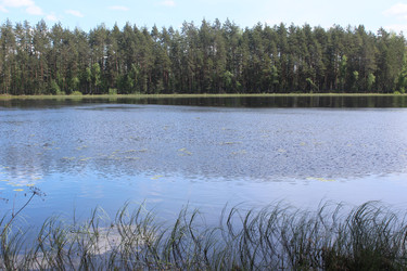 Similar image 21442543