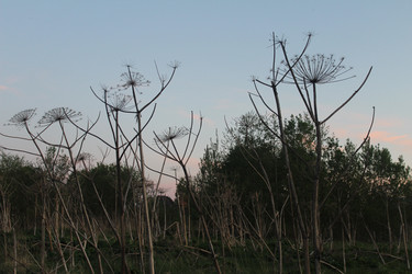 Similar image 21442544