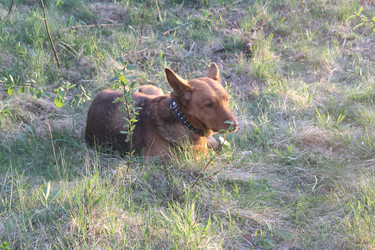 Similar image 21442545