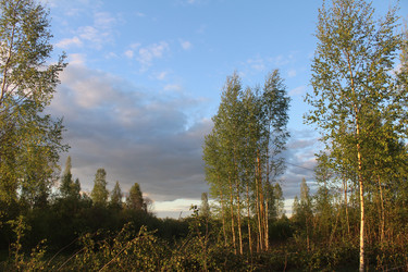 Similar image 21442546