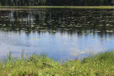 Similar image 21442547